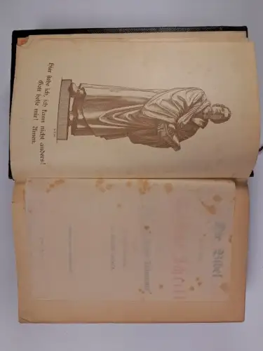 Biblia: Die Bibel, Heilige Schrift, M Luther, Sächsische Haupt-Bibelgesellschaft