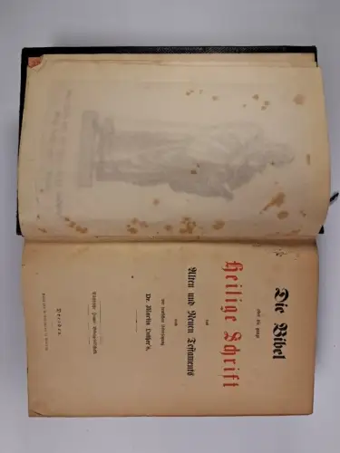 Biblia: Die Bibel, Heilige Schrift, M Luther, Sächsische Haupt-Bibelgesellschaft