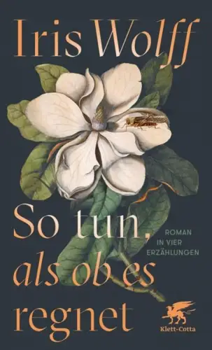 Buch: So tun, als ob es regnet, Wolff, Iris, 2022, Klett-Cotta, Roman, sehr gut