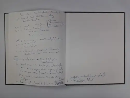 Buch: Schinkels Blick nach Indien, M. A. Zadow, 2013, Edition Axel Menges