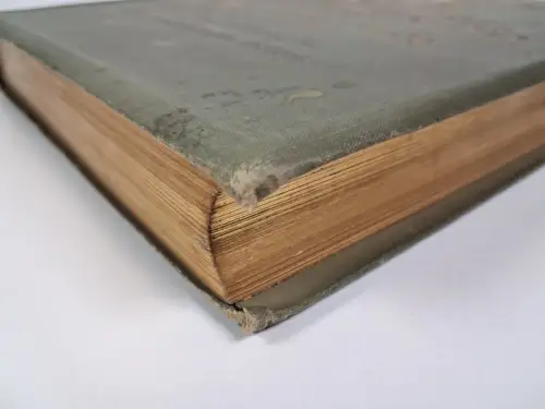 Buch: Zu Hause in der Gesellschaft und bei Hofe, Helene von Düring-Oetken, 1896