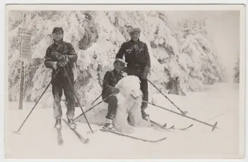 AK Portrait 3 Skifahrer im Schnee mit Eisbär, Oberwiesenthal, Fotografie, Karte