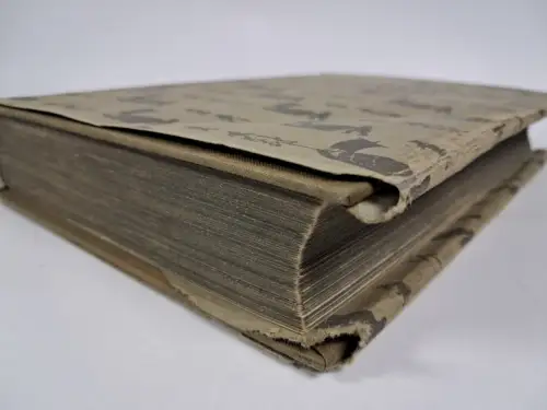 Buch: Ein arktischer Robinson, Kapitän Mikkelsen, 1913, F. A. Brockhaus Verlag