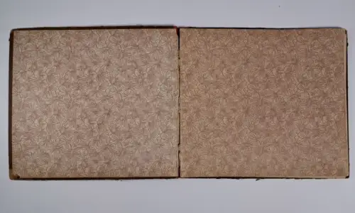 Buch: Der Hase und die Rübe, Otto Schnee, 1910, Verlag Adolph Engel