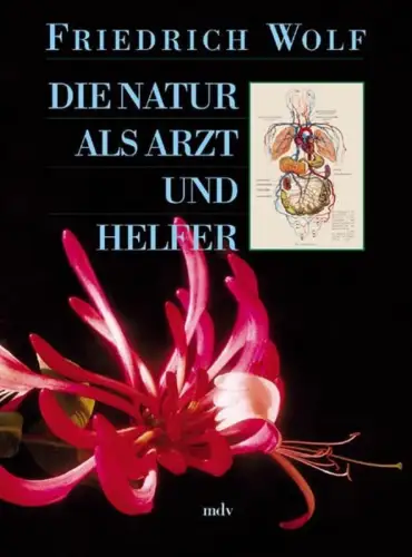 Buch: Die Natur als Arzt und Helfer, Friedrich Wolf, 2003, mdv