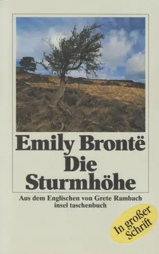 Buch: Die Sturmhöhe, Emily Bronte, In großer Schrift, 1994, Insel Verlag
