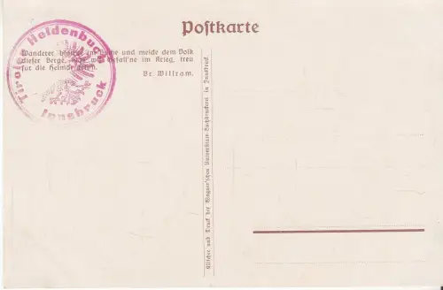 AK Hall, Unsere Helden, Ehrenbuchband...Gerichts-Bezirk Hall von Ludwig Girardi