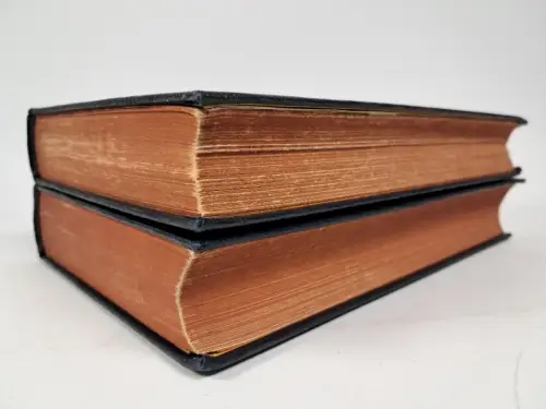 Buch: Das Reisetagebuch eines Philosophen 1+2, Graf Hermann Keyserling. Reichl