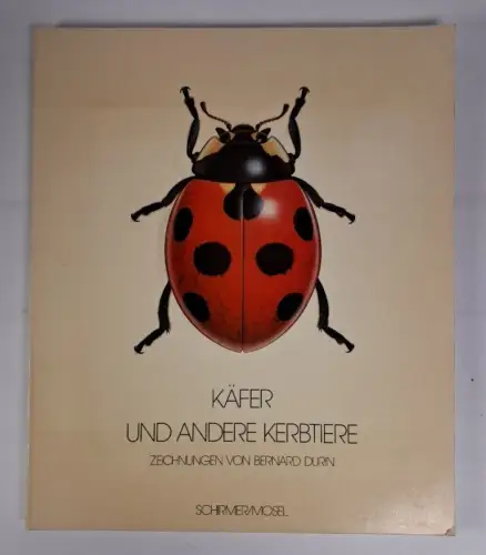 Buch: Käfer und andere Kerbtiere, 34 Zeichnungen, Bernard Durin, Schimmer/Mosel