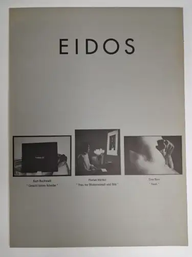 Ausstellungskatalog: Eidos, 1992, Saarländisches Künstlerhaus, gebraucht, gut