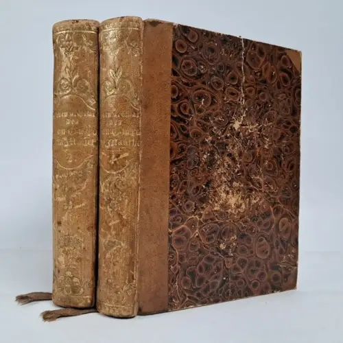 Buch: Don Quixote von la Mancha. Cervantes, 1852, A. Hofmann & Co., 2 Bände