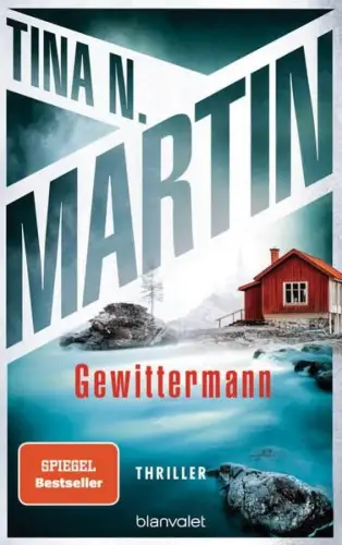 Buch: Gewittermann, Martin, Tina N., 2024, Blanvalet, Thriller, sehr gut