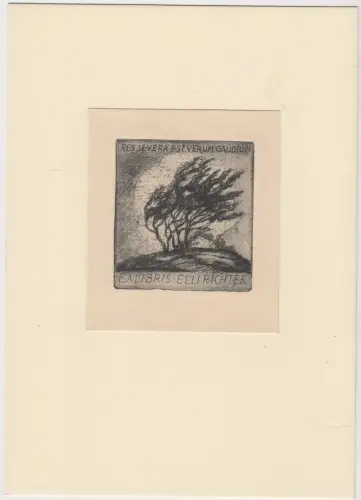 Original Grafik Exlibris: Elli Richter, Bäume, Radierung, sehr guter Zustand