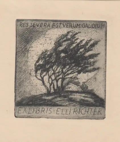 Original Grafik Exlibris: Elli Richter, Bäume, Radierung, sehr guter Zustand