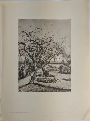 Lichtdruck: Garten, Vincent van Gogh, Max Jaffé, Lichtdruck, Federzeichnung