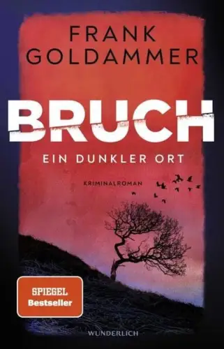 Buch: Bruch: Ein dunkler Ort, Goldammer, Frank, 2022, Rowohlt, gebraucht, gut