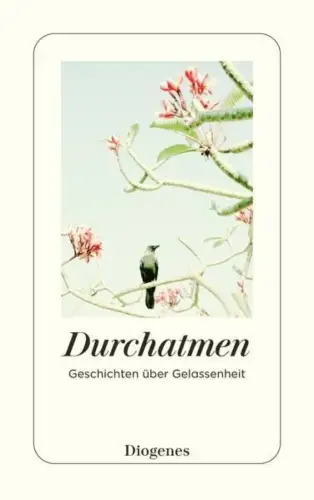 Buch: Durchatmen, Schoknecht, Martha, 2024, Diogenes, gebraucht, sehr gut