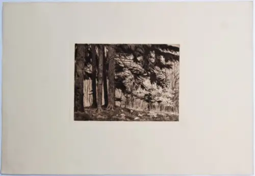 Radierung: Wald, Selbstverlag des Radiervereins zu Weimar, Original Grafik