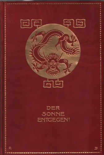 Buch: Der Sonne entgegen, Biagosch, Anna, ca. 1908, gebraucht, gut