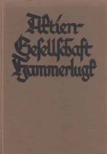 Buch: Aktien-Gesellschaft Hammerlugk, Schröder, Karl. 1928, Erzählung