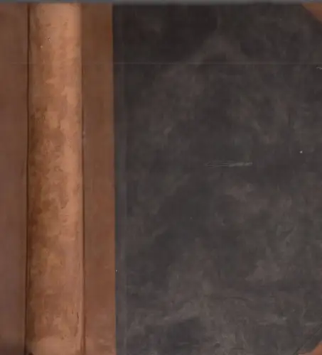 Buch: Philologus Hebraeus, Leusden, Johannes. 1657, Dreunen, gebraucht, gut