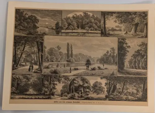 Bilder aus dem Leipziger Rosenthal, Holzstich, Reproduktion, Ansicht, Leipzig