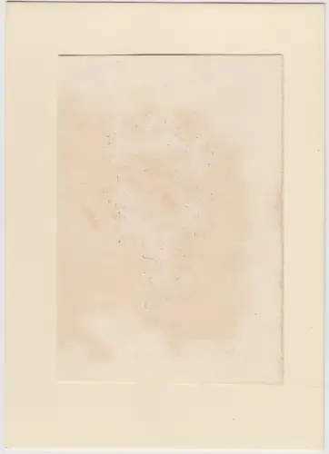 Original Grafik Exlibris: Biblioaber Paolina Monaterssino, Archsuro Monstersfine