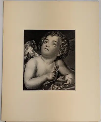 Stahlstich: Amor, Raphael Mengs, Grafik, Portrait, W. French, Dresdner Galerie