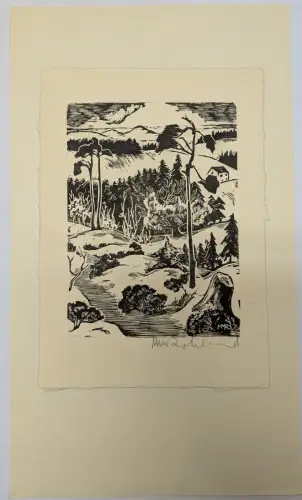 Holzschnitt, Grafik, Ansicht, Landschaft, Kunstdruck, Marianne Rohland