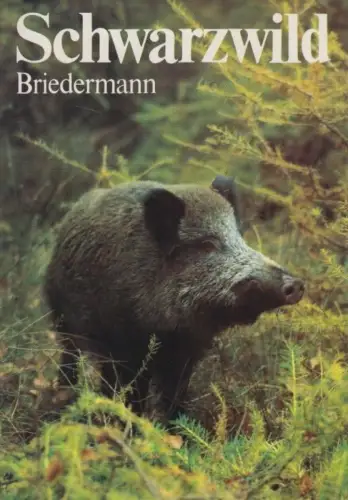 Buch: Schwarzwild, Briedermann, Lutz. 1986, VEB Deutscher Landwirtschaftsverlag