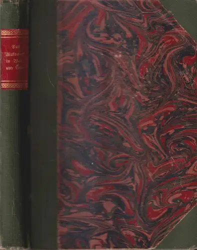 Das Weidwerk in Wort und Bild Band 11 Nr. 1-24 / 1901/1902, ohne Heft 2!