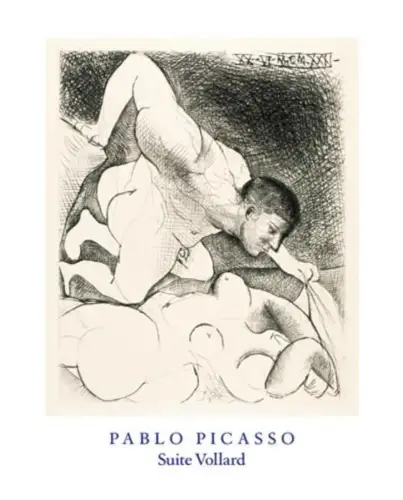 Buch: Pablo Picasso, Suite Vollard, 2012, Kerber, gebraucht, wie neu