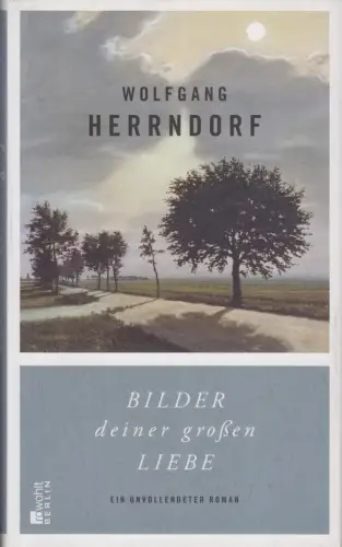 Buch: Bilder deiner großen Liebe, Herrndorf, Wolfgang. 2014, Rowohlt Verlag