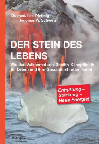 Buch: Der Stein des Lebens, Triebnig, Ilse, 2013, Mohorjeva Hermagoras, sehr gut