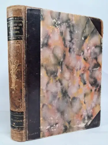 Buch: Der Kampf um den Nord- und Südpol, Axel Ahlman, Gefion, gebraucht, gut