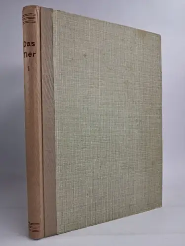 Das Tier Heft 1-12 / 1929, Fritz Peltzer, 12 Hefte, Zeitschrift, gebraucht, gut