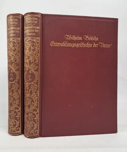 Buch: Entwicklungsgeschichte der Natur in zwei Bänden, Wilhelm Bölsche, Knaur