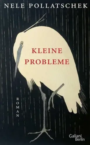 Buch: Kleine Probleme, Pollatschek, Nele, 2024, Galiani Berlin, Roman, sehr gut