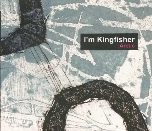 CD: I'm Kingfisher, Arctic, 2011, Playground, Musik, Folk, Country, sehr gut