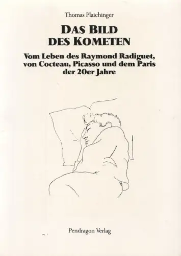 Buch: Das Bild des Kometen, Plaichinger, Thomas, 1989, Pendragon, sehr gut
