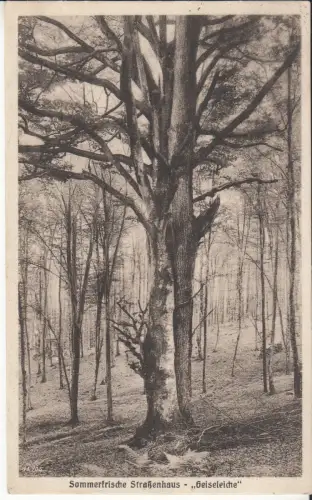 AK Sommerfrische Straßenhaus - Geiseleiche, ca. 1926, W. Rüsch, Postkarte