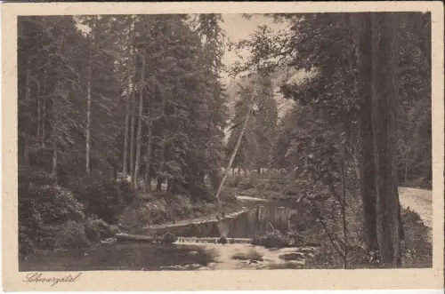 AK Schwarzatal, Thüringerwaldverlag von Richard Zieschank, Postkarte, ungelaufen
