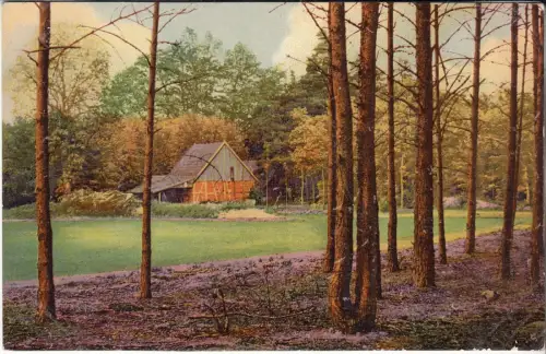 AK Aus der Gütersloher Haide, Hermann Lorch, Postkarte, ungelaufen