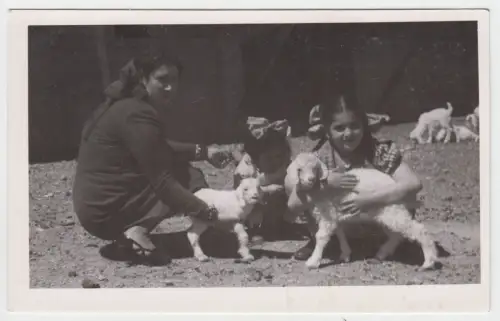 AK Frau mit 2 Mädchen und Ziegen, Postkarte, Foto, ungelaufen, gebraucht, gut