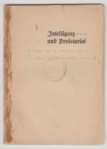 Heft: Intelligenz und Proletariat, Albert Steindorff, 1919, Grunow Verlag