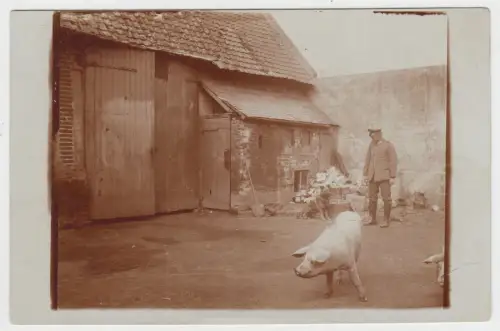 AK Mann in Uniform vor Scheune mit Schäferhund und Schweinen, 1916, Postkarte