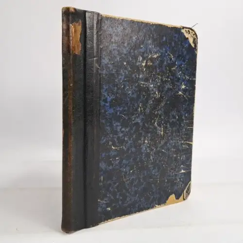 Buch: Zwei Ausbrüche des Vesuv's, W. O. von Horn, 1876, Julius Niedner Verlag