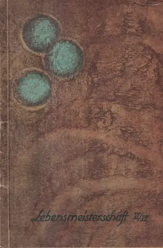 Buch: Lebensmeisterschaft Sechster und Siebenter Brief, Dualim, 1919