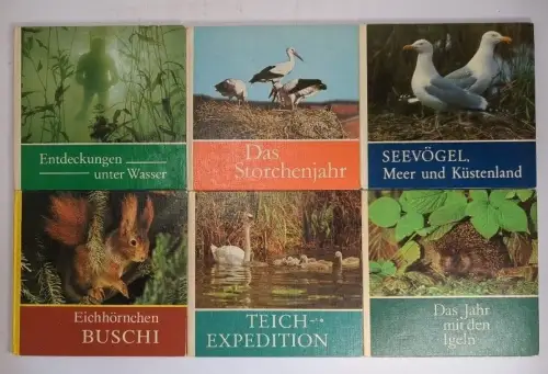 6 Bücher Rudolf Arnold Verlag, Natur, Tiere, Eichhörnchen Buschi, Meer ...