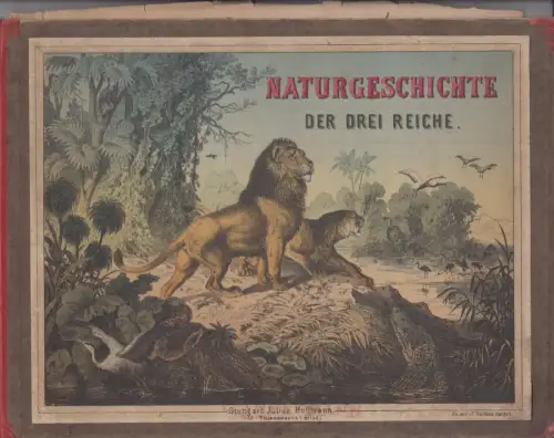 Buch: Naturgeschichte der drei Reiche, anonym, 1962, K. Thienemann's Verlag, gut